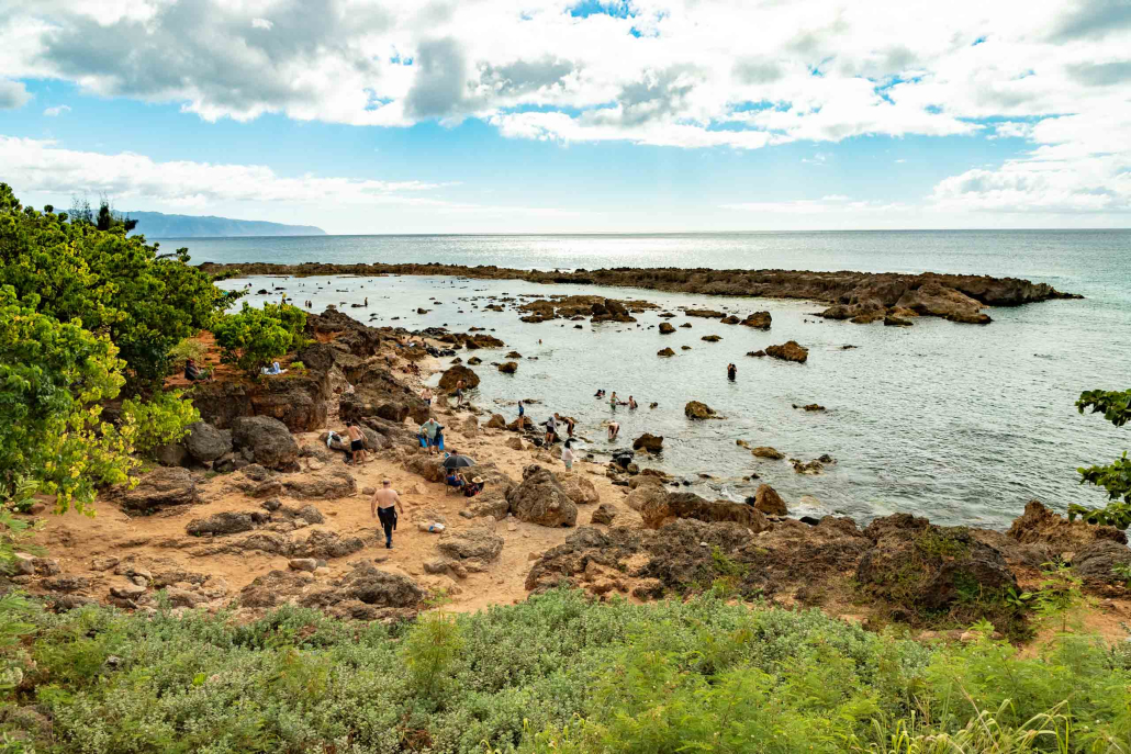 North Shore Oahu Shark Cove Snorkeling