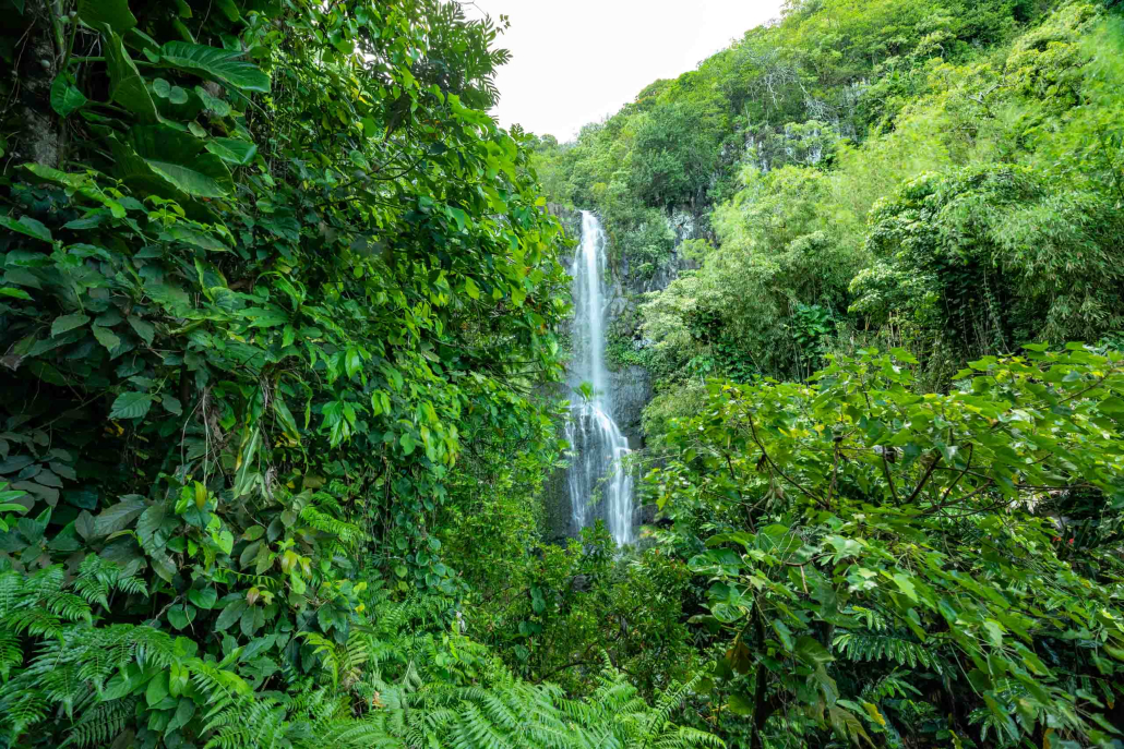 Waterfall and Jungle Road to Hana Maui