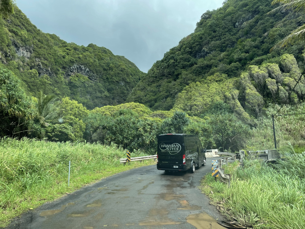 Backside Maui Road To Hana