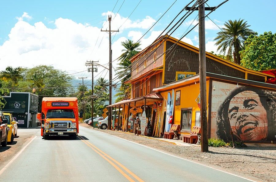 E Noa Tours In Haleiwa Town