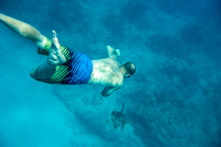 Swim With Hawaiian Turtle