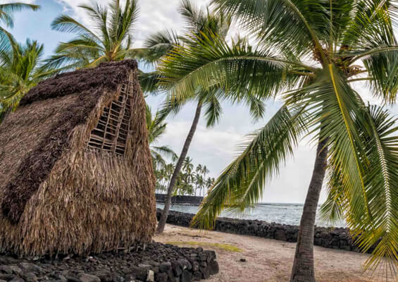 Hawaiian Hut On The Beach Big Island Hawaii Slider 
