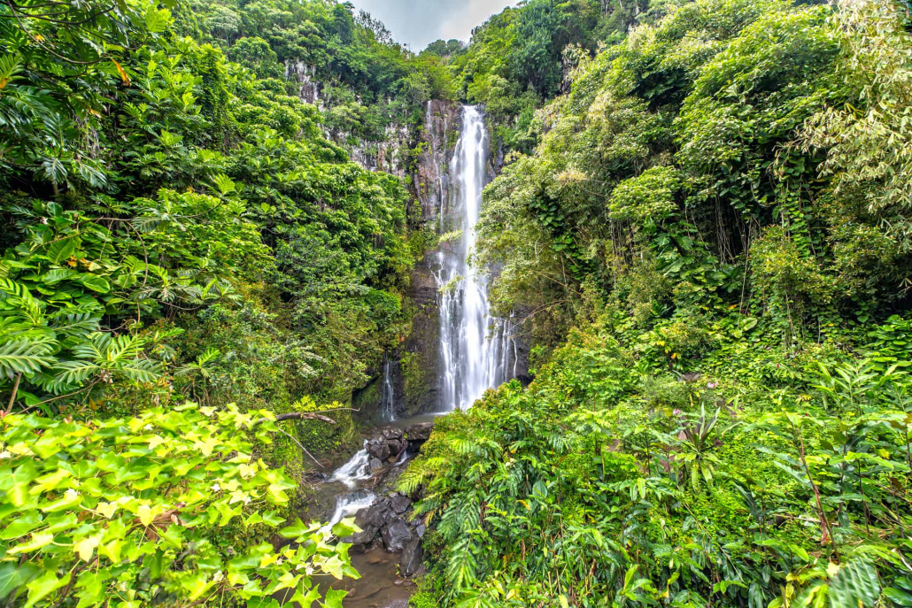 Holo Holo Maui Tours Waterfall Private Hana