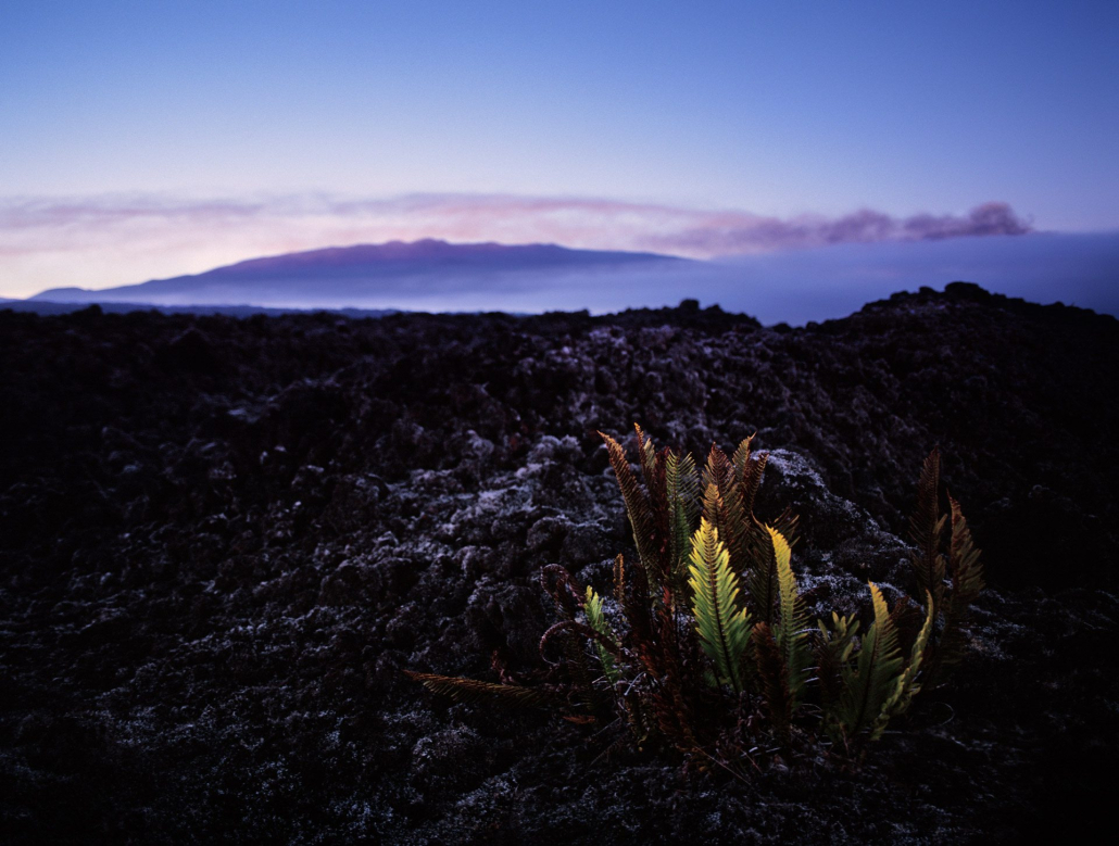Lava Landscape Dusk Kailani Tours Hawaii