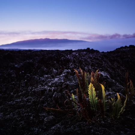 Lava Landscape Dusk Kailani Tours Hawaii