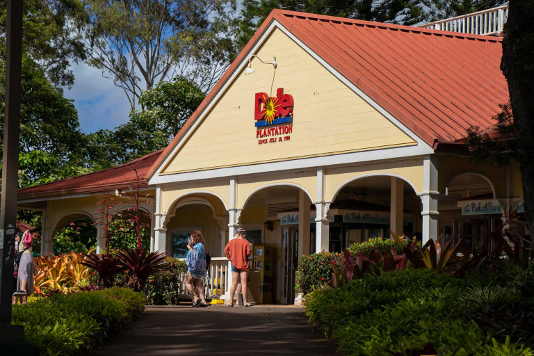 Oahu Sightseeing Tour Dole Plantation Oahu Pathway Souvenirs