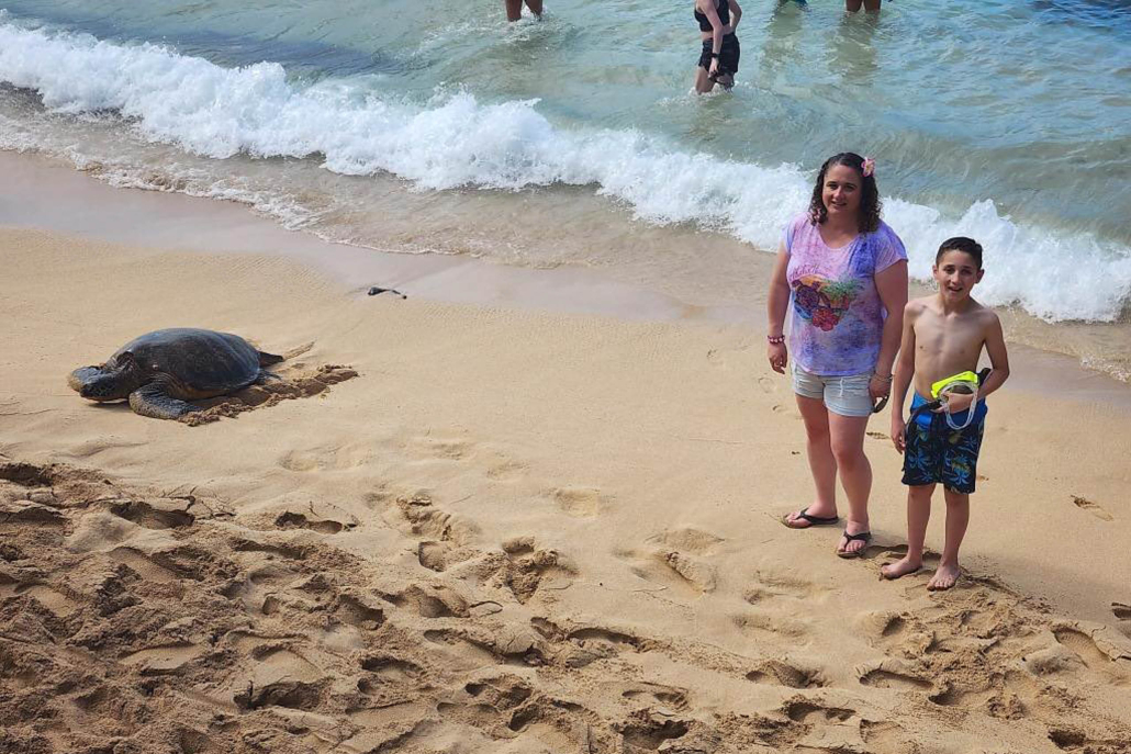 Oahu Turtle Snorkel Tour Take Photo With Turtle