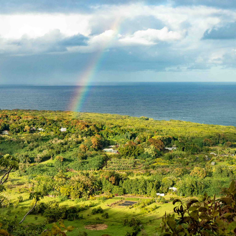 Road To Hana Scenic Maui