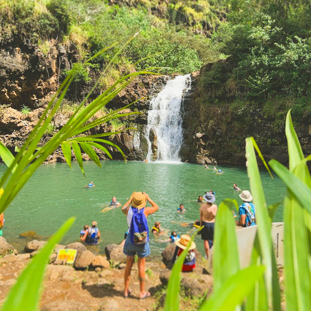 Swimmers At Waimea Falls Enoa 
