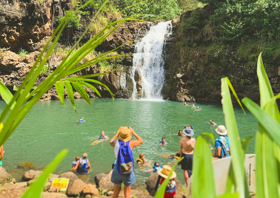 Swimmers At Waimea Falls Enoa 