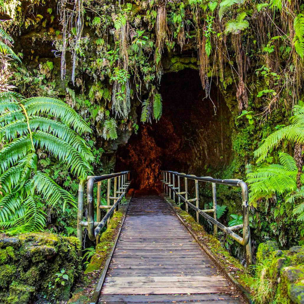 Thurston Lava Tube Wasabi Tours Hawaii 