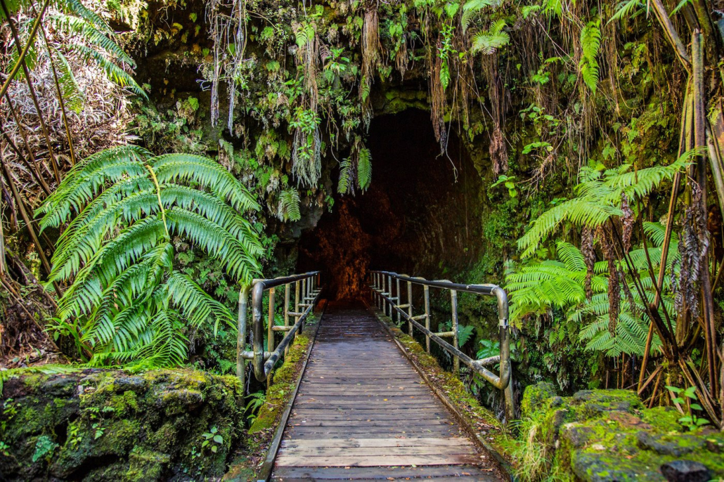 Thurston Lava Tube Wasabi Tours Hawaii