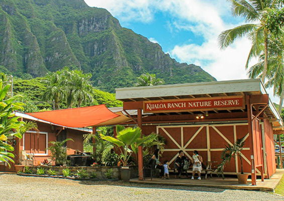 Tropical Farms At Kualoa Ranch Enoa 