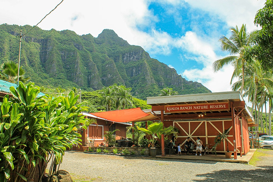 Tropical Farms At Kualoa Ranch Enoa