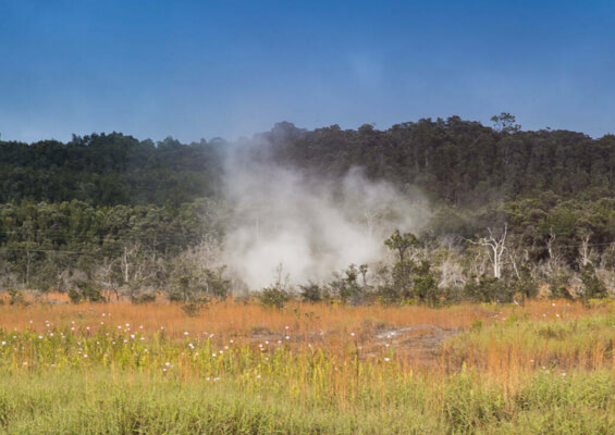 Wasabitourshawaii Big Island Sightseeing Tour Volcano Park Fireview Mini