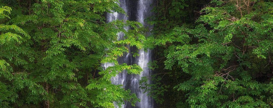 Big Island Circle Experience Tour