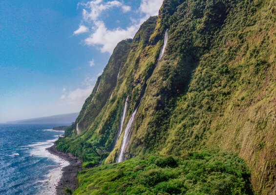 Bigisland Spectacular Mini
