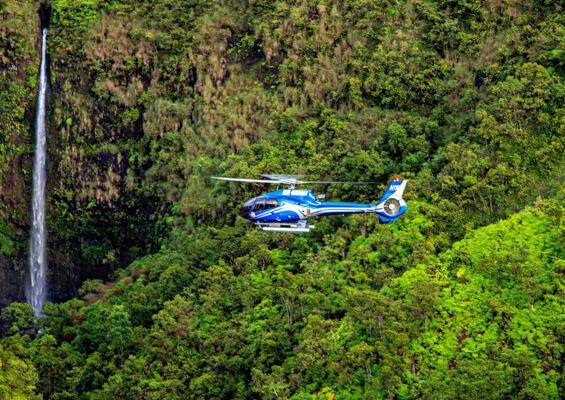 Ultimate Kauai Helicopter Tour Soar Over Waterfall  Mini