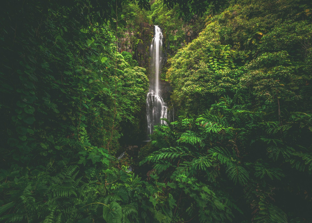 Wailua Falls On Maui Shutterstock 