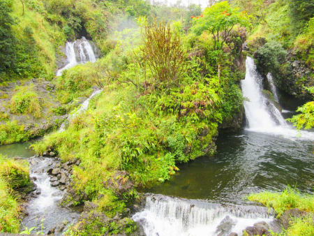 Hana Tours Of Maui Deluxe Group Circle Island Hana Tour Haleakala
