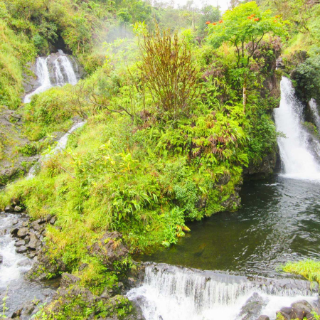 Hana Tours Of Maui Deluxe Group Circle Island Hana Tour Haleakala