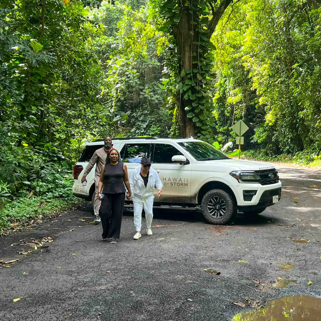 Hawaii By Storm Complete Luxury Private Hana Adventure Forest