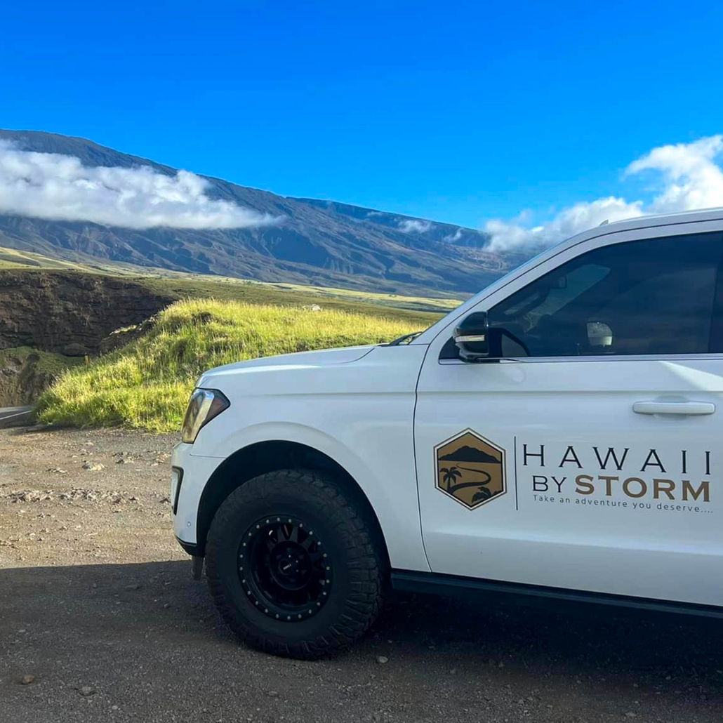 Hawaii By Storm Complete Luxury Private Hana Adventure Overview