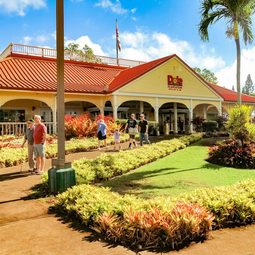 Dole Plantation North Shore Oahu 