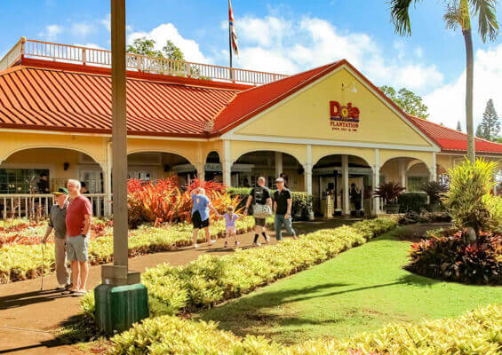 Dole Plantation North Shore Oahu  Mini 