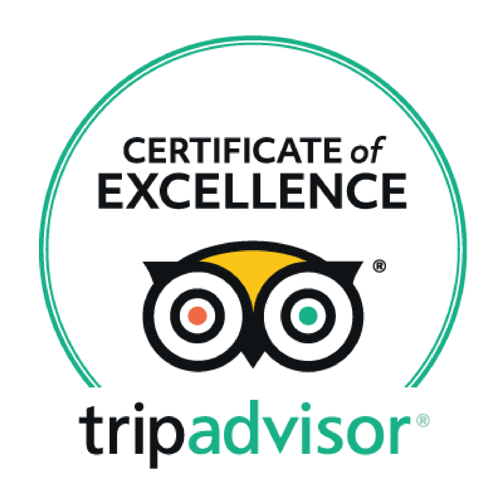 Tripadvisor road tour reviews