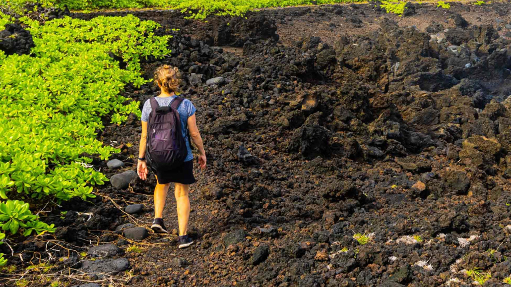 Exclusive Private Maui Tour Waianapanapa State Park Product Images