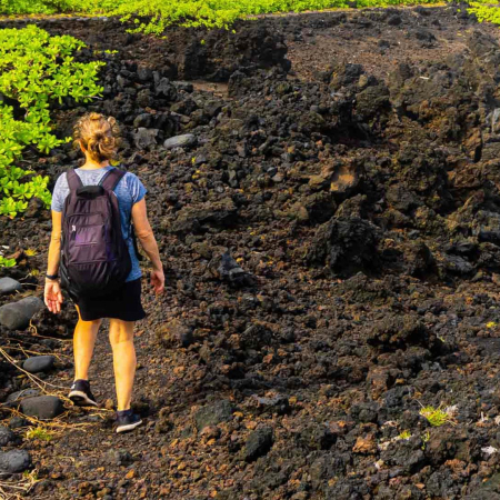 Exclusive Private Maui Tour Waianapanapa State Park Product Images