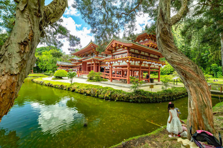 Highlights Of Oahu Circle Island Byodo In Temple Pond Visitors Oahu