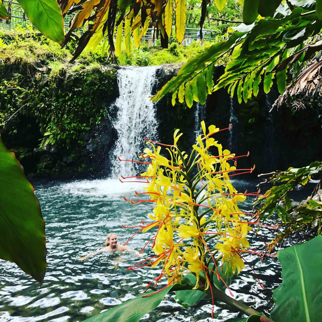Holoholomauitours West Maui Private Sightseeing Stream