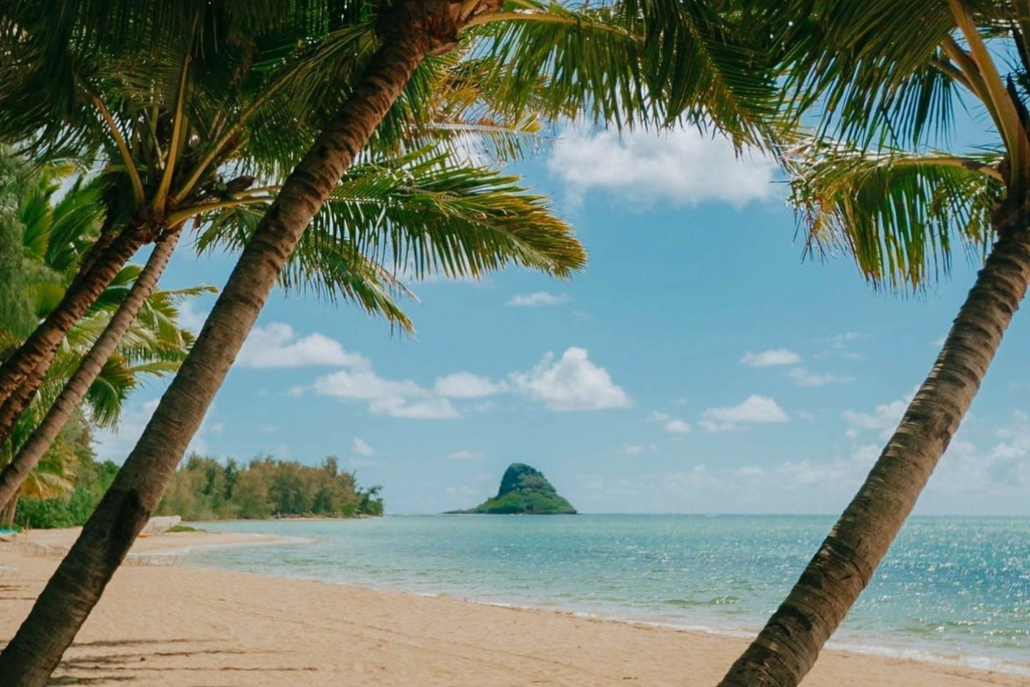 Kualoa Secret Beach Circle Island Adventure Under Palm Tree